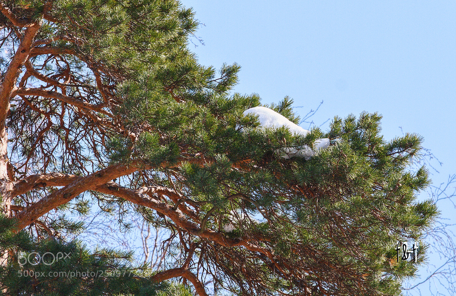 Canon EOS 7D sample photo. Untitled photography