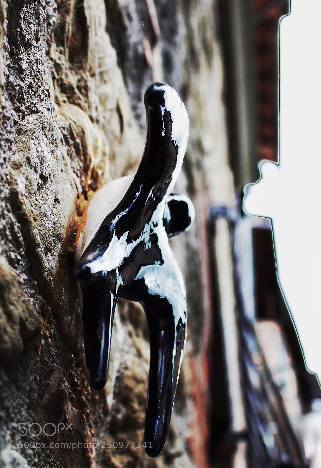 Canon EOS 1200D (EOS Rebel T5 / EOS Kiss X70 / EOS Hi) sample photo. Swallow photography