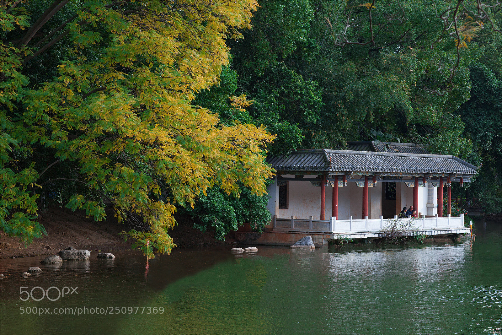 Canon EOS 5D Mark II sample photo. Lujiang park photography