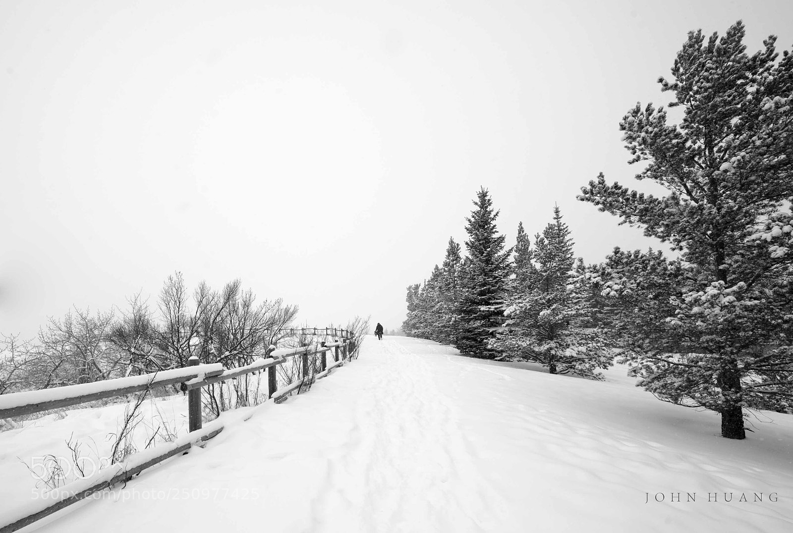 Nikon D700 sample photo. Untitled photography