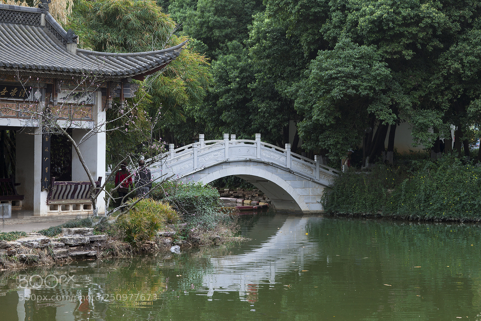 Canon EOS 5D Mark II sample photo. Lujiang park photography