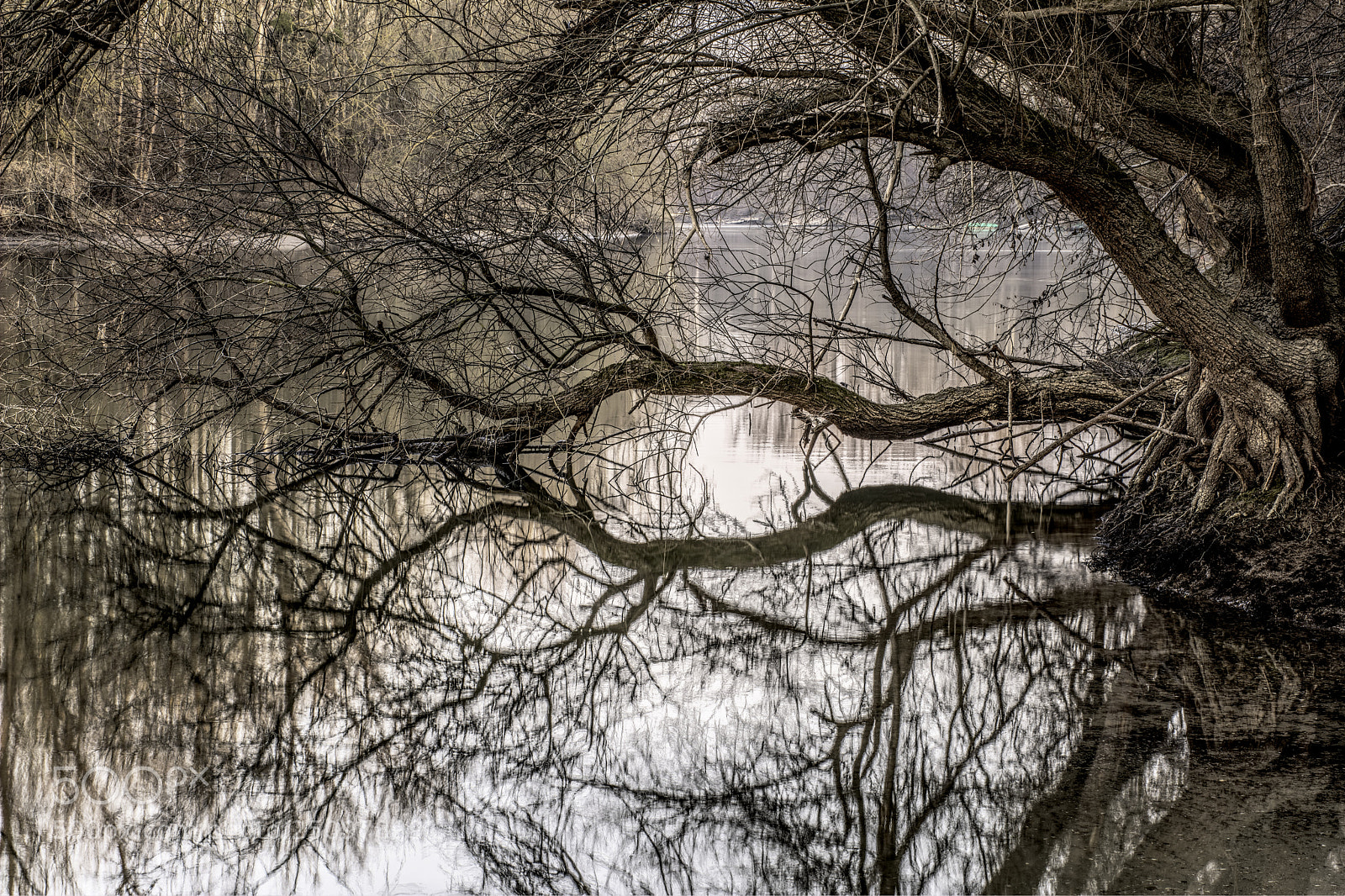 Nikon D7100 sample photo. River10 photography