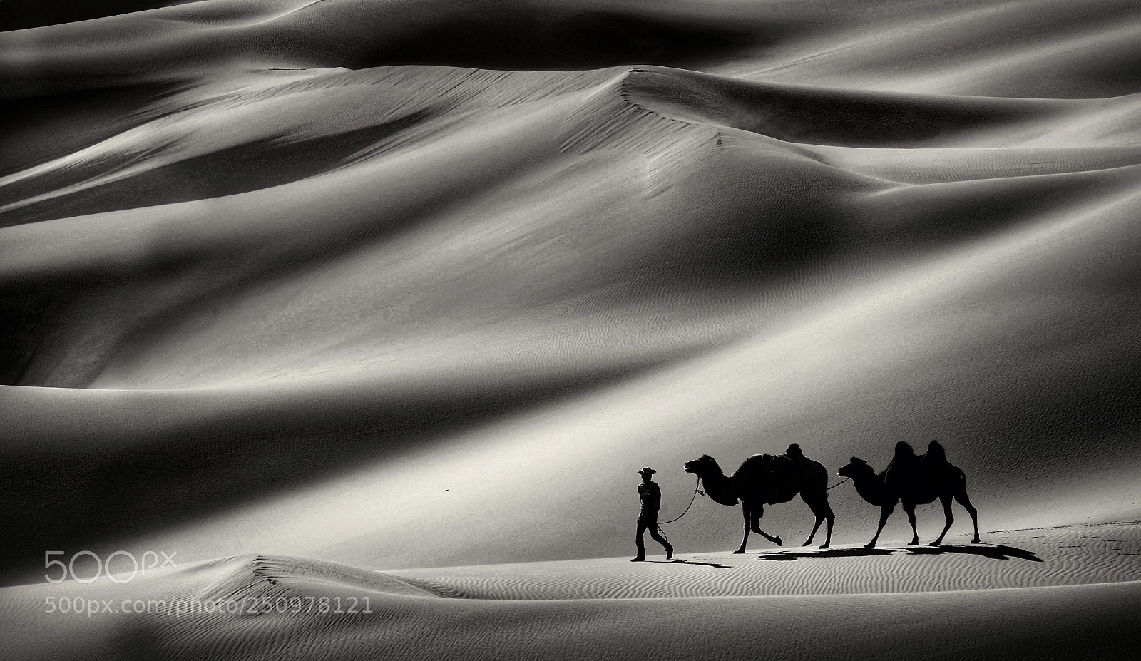 Nikon D800 sample photo. Xinjiang china photography