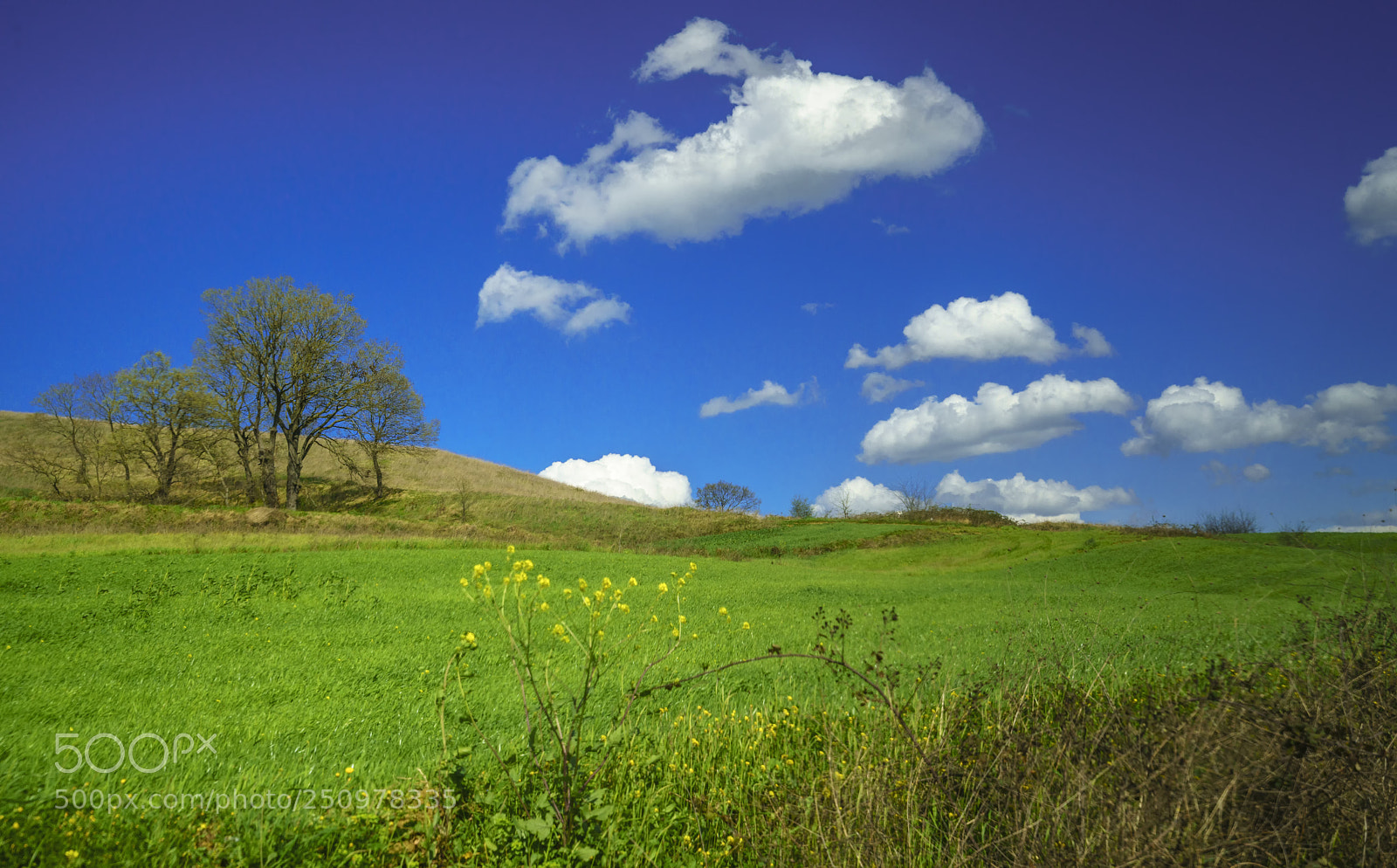 Sony a7R II sample photo. Spring (ii).... photography