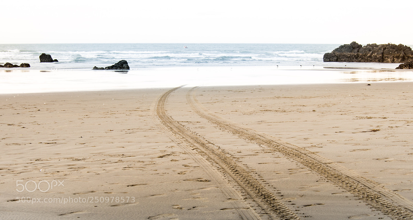 Olympus OM-D E-M5 sample photo. Tracks on sand photography