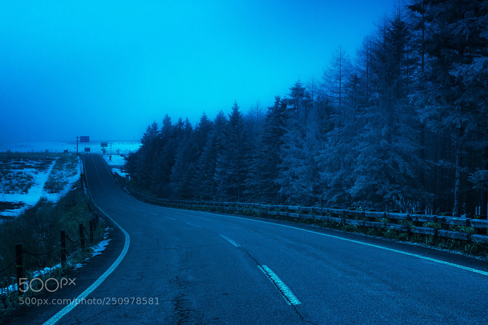 Sony SLT-A65 (SLT-A65V) sample photo. Road photography