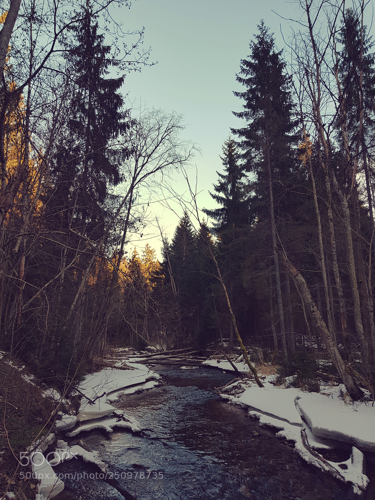 Samsung Galaxy S8 sample photo. Cecīļi ii photography