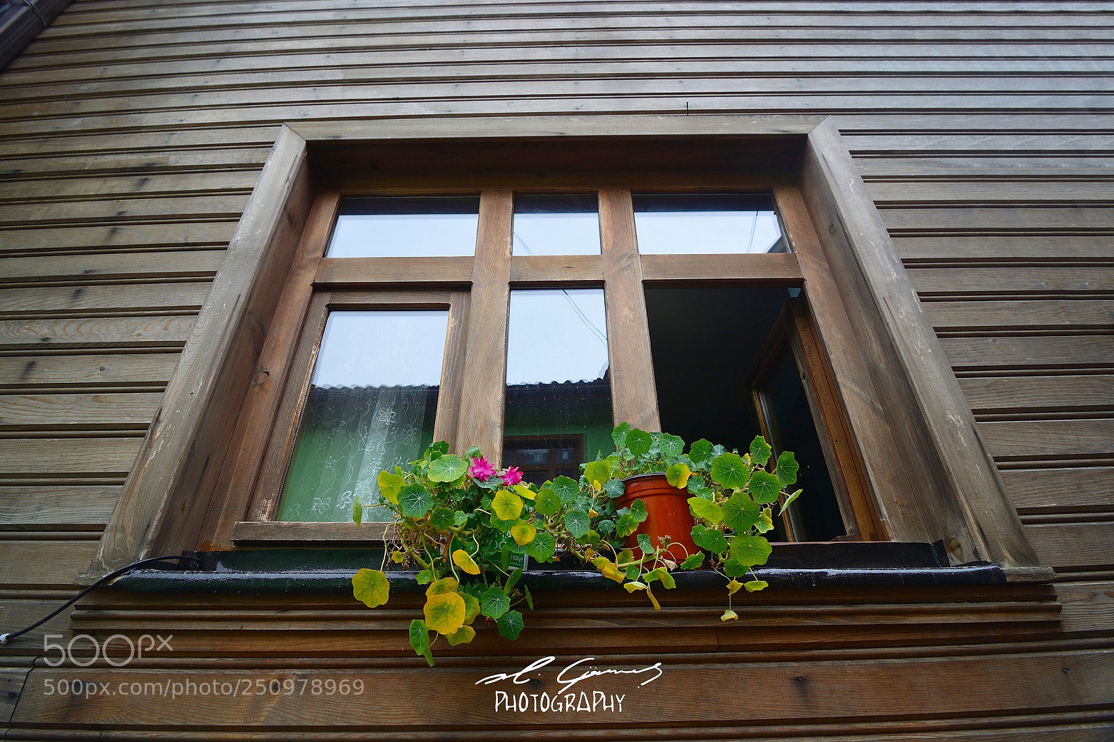 Nikon D7100 sample photo. Pencere photography