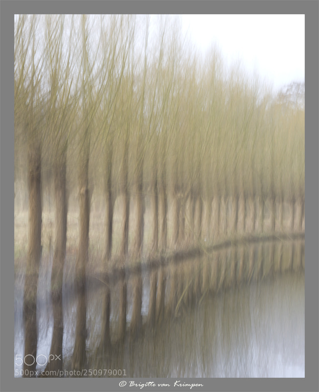 Canon EOS 60D sample photo. Moving polders ii photography