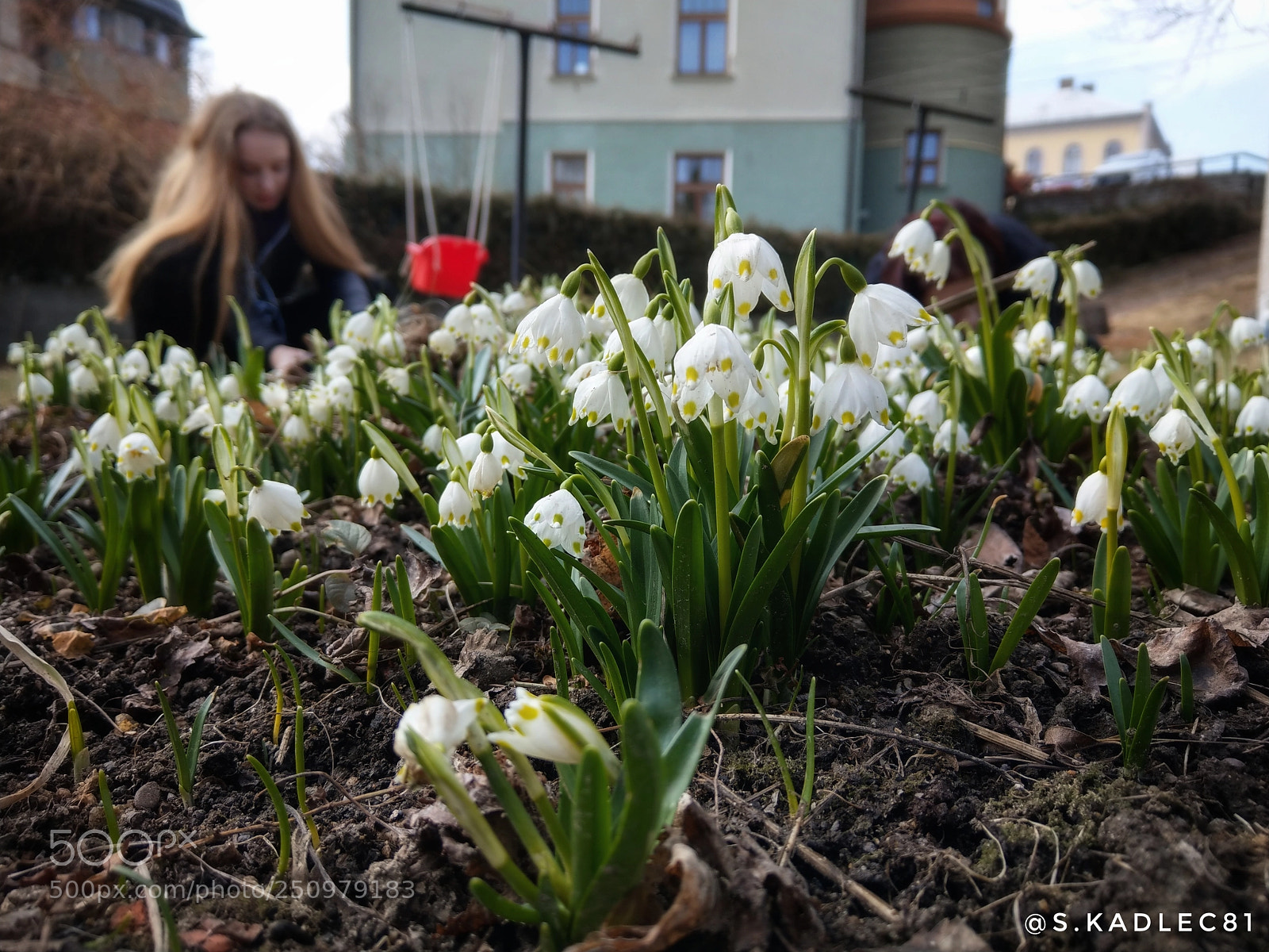 HTC U11 sample photo. Spring in liberec photography