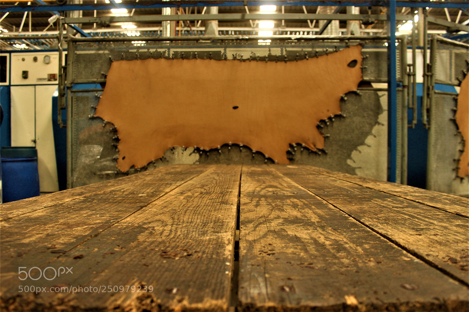 Canon EOS 500D (EOS Rebel T1i / EOS Kiss X3) sample photo. Leather tannery photography