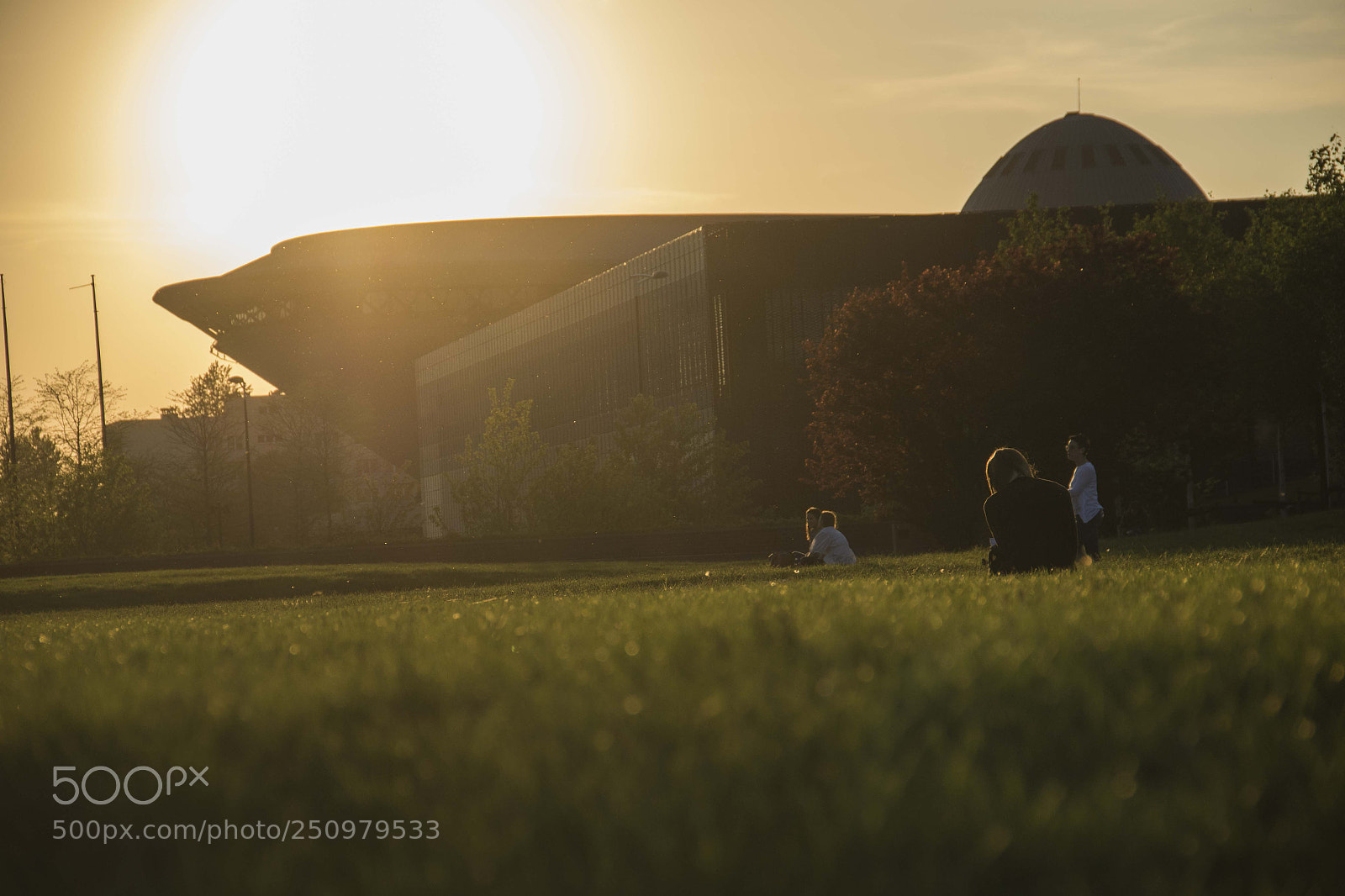 Canon EOS 7D Mark II sample photo. A bug view. photography