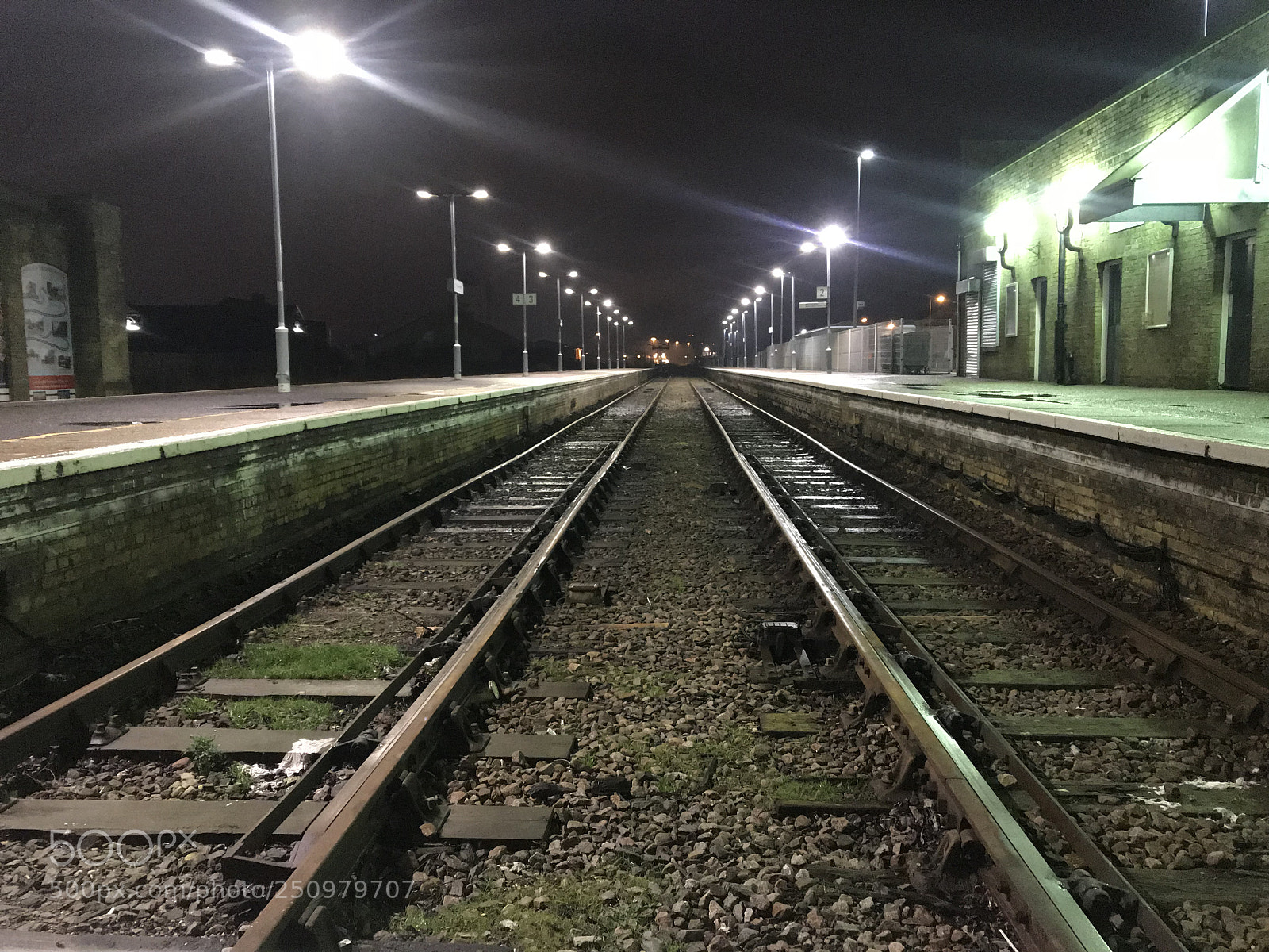 Apple iPhone 7 Plus sample photo. Untitled photography
