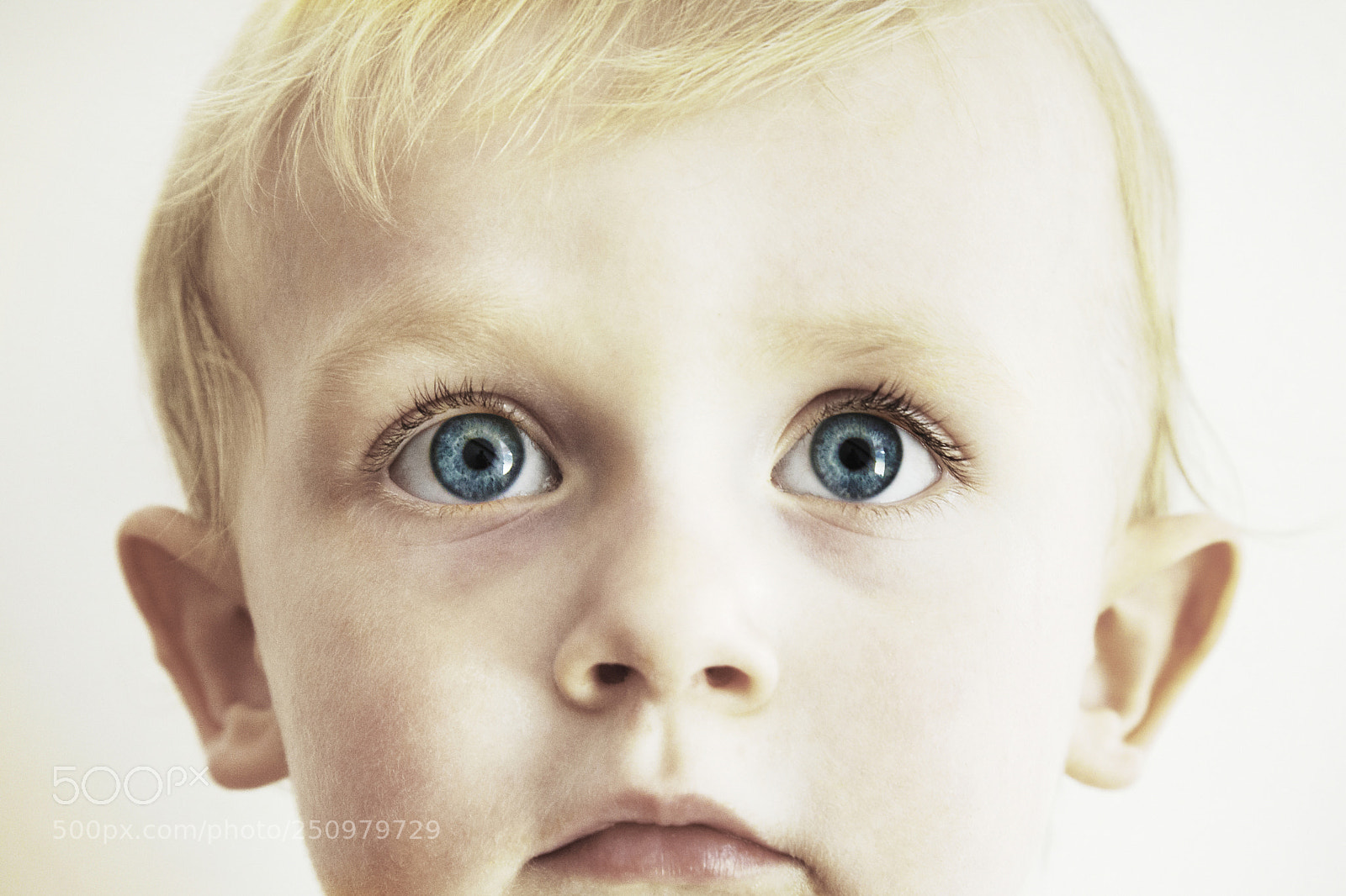 Canon EOS 5D Mark II sample photo. Levi photography