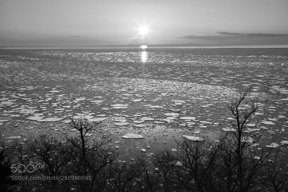 Canon EOS-1Ds Mark III sample photo. Drift ice and sunset photography