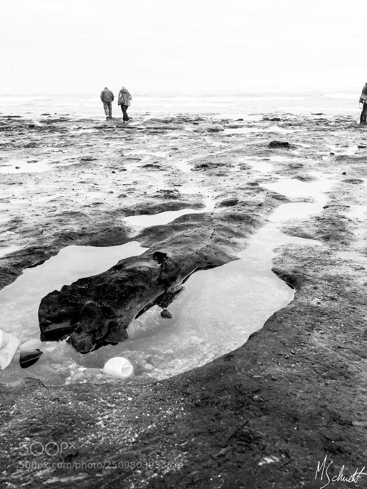 Panasonic Lumix DMC-GH4 sample photo. Petrified forest, redcar england. #3 photography