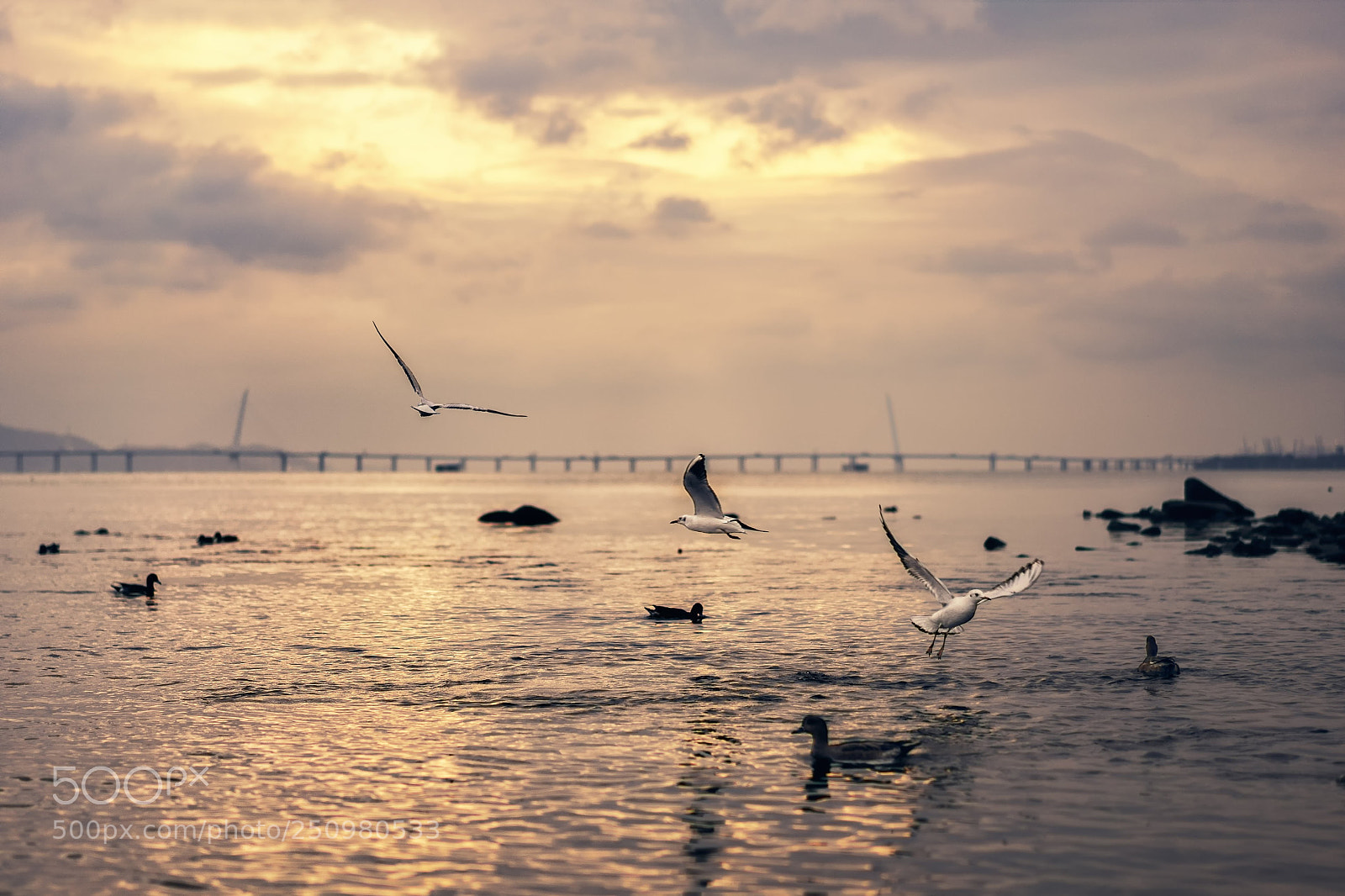 Sony a7 sample photo. 日落时分 photography