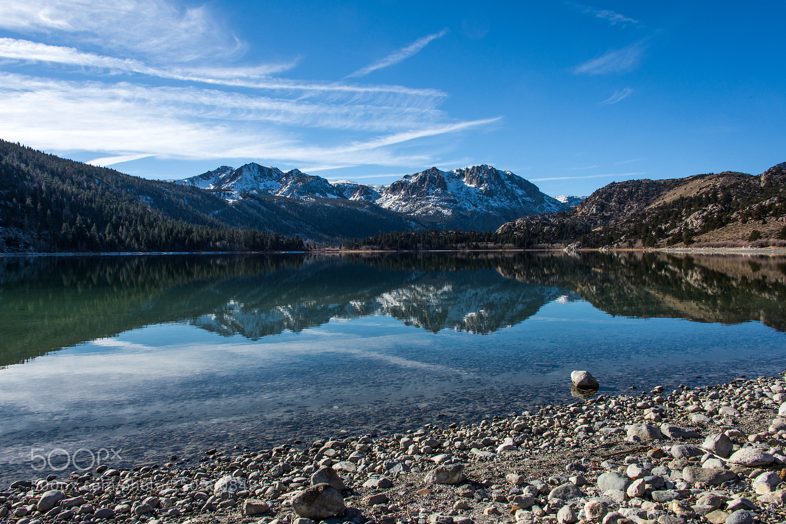 Nikon D600 sample photo. June in winter photography