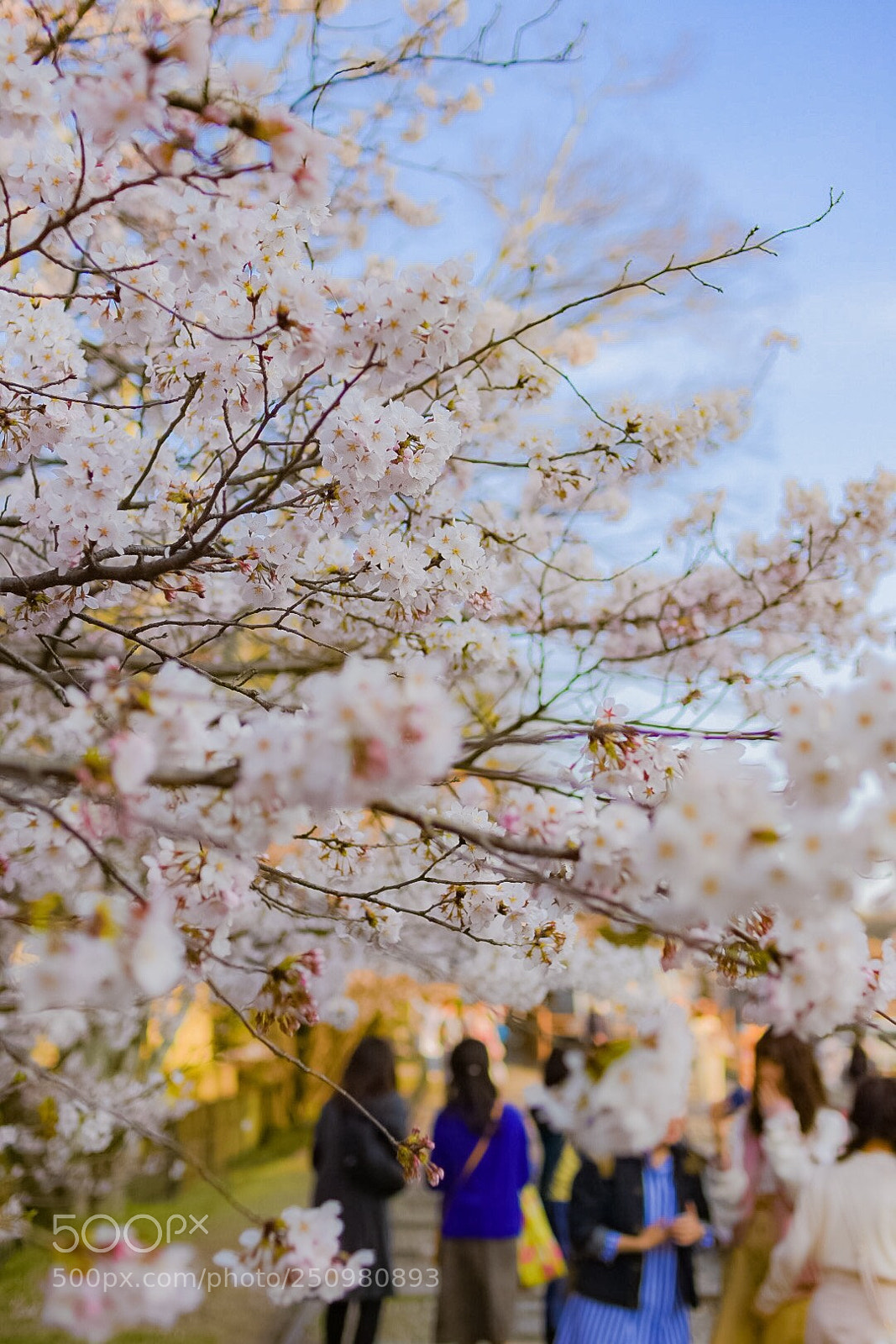 Nikon D7200 sample photo. 蹴上インクライン photography
