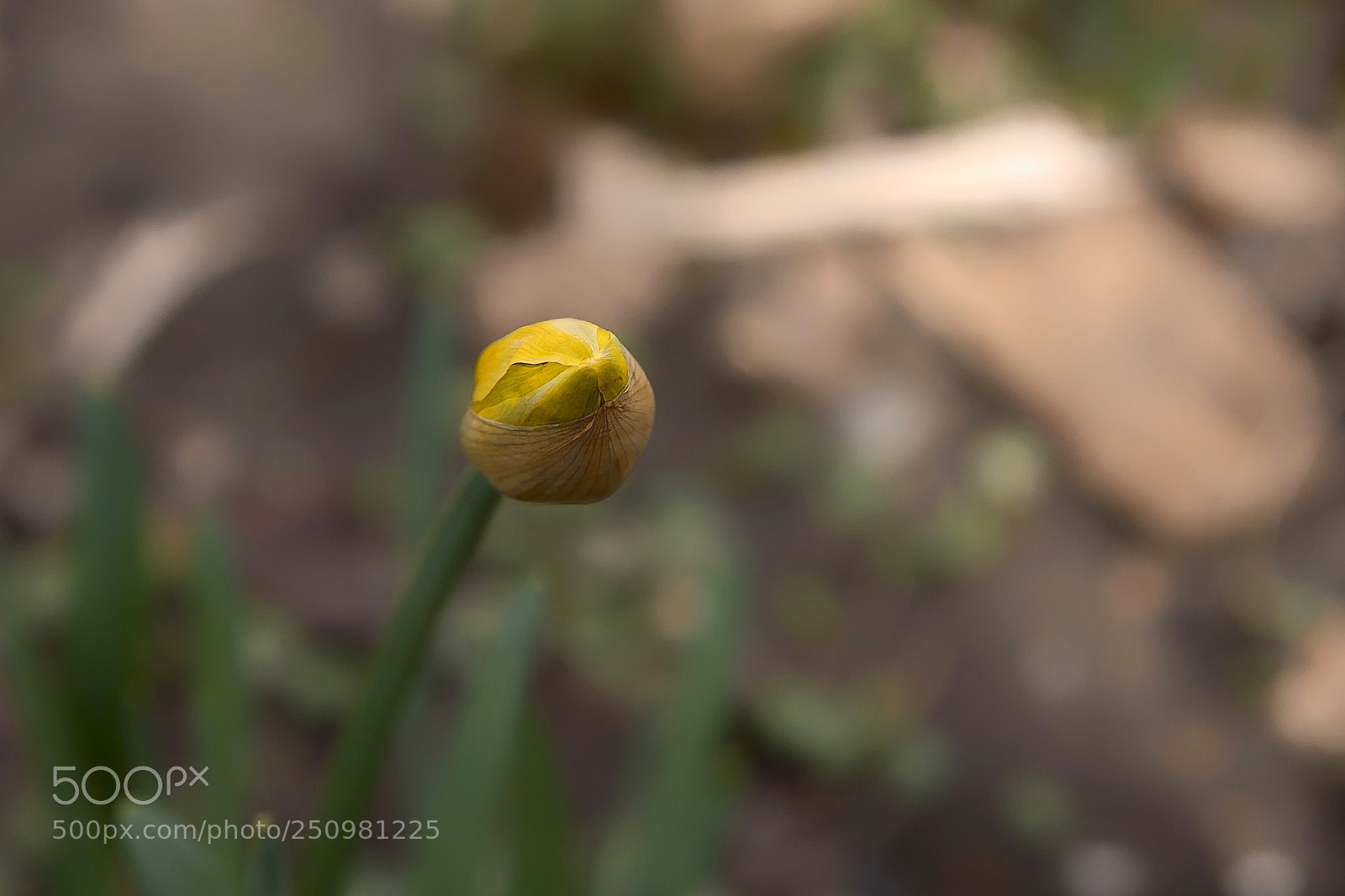 Canon EOS 40D sample photo. La la land photography