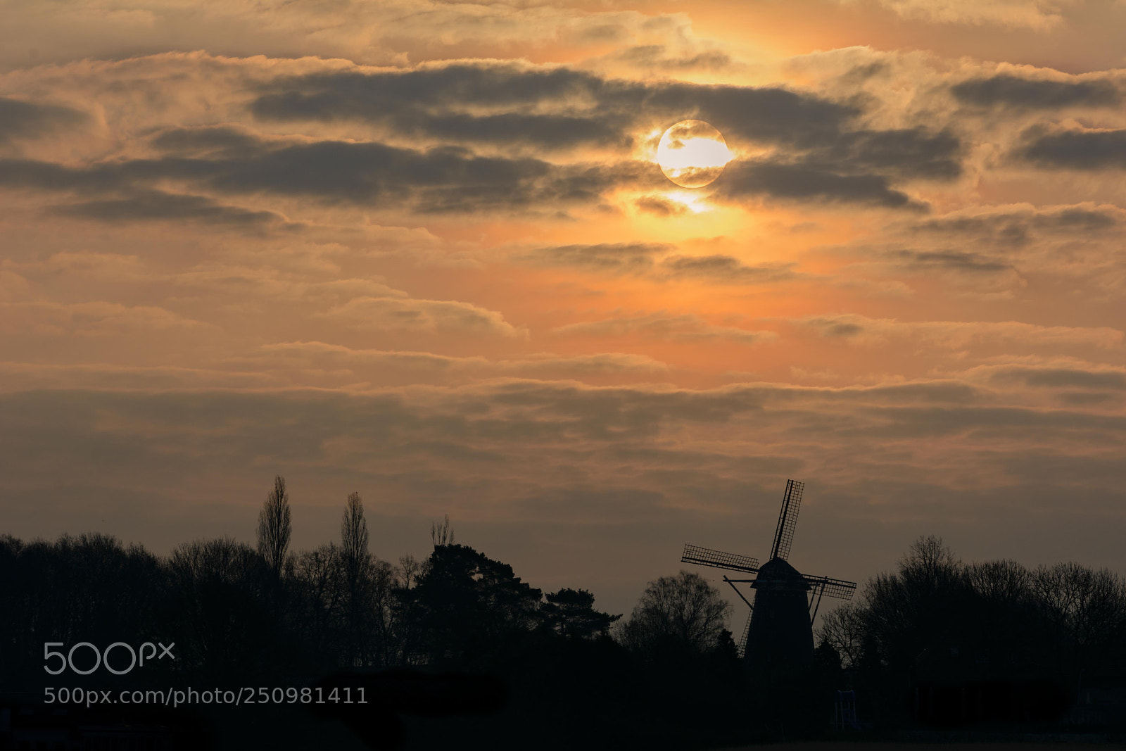 Nikon D7100 sample photo. Vrouwenheide silhouette photography