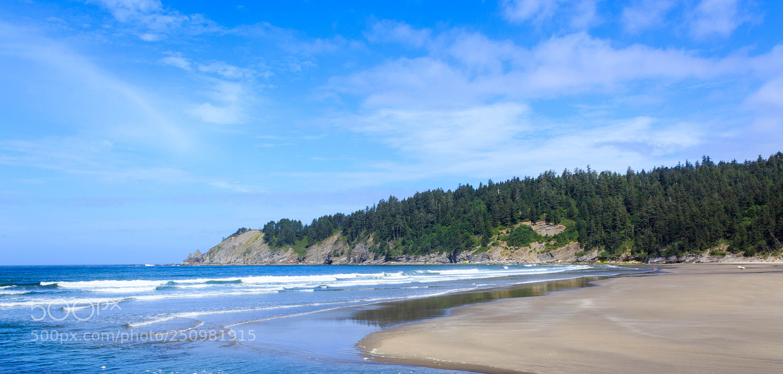 Canon EOS 1300D (EOS Rebel T6 / EOS Kiss X80) sample photo. Oregon beach photography