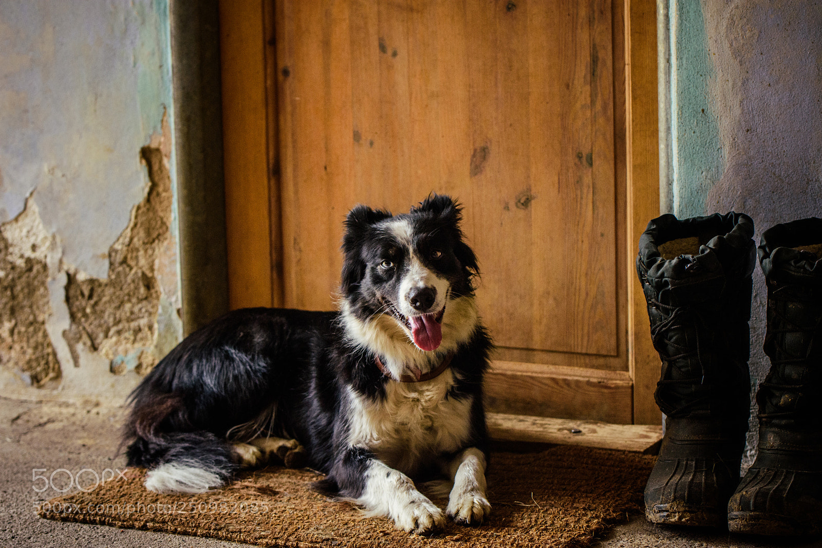 Nikon D7200 sample photo. Guardian photography