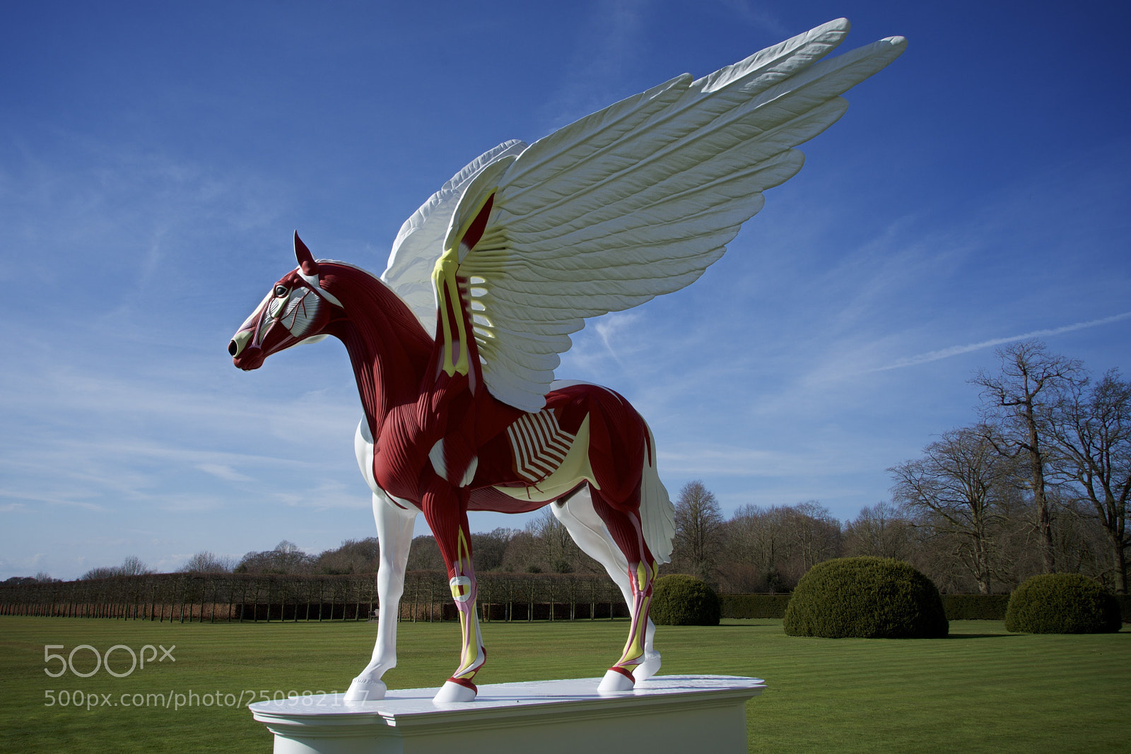 Sony a7R sample photo. Damien hirst, houghton hall photography