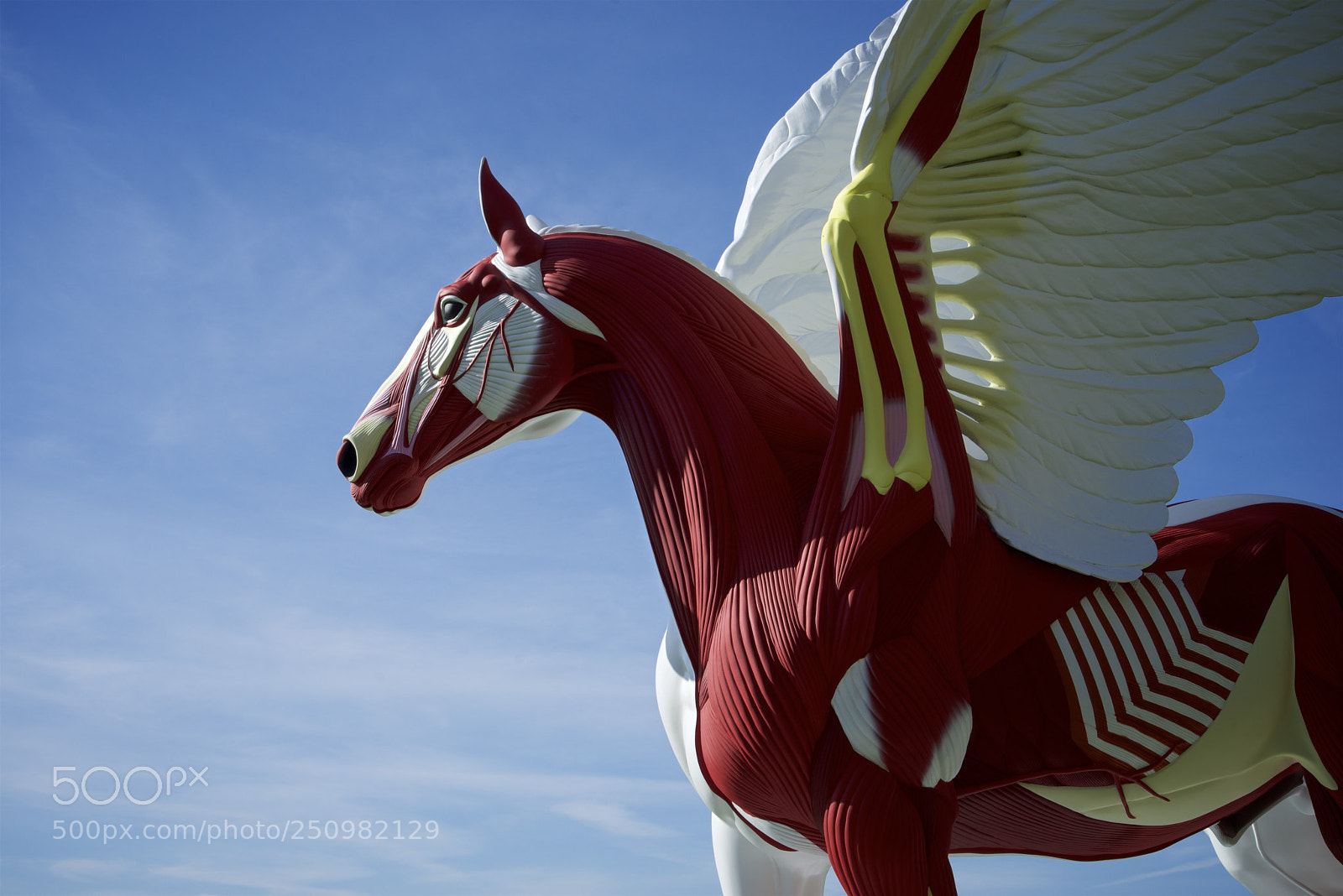 Sony a7R sample photo. Damien hirst, houghton hall photography