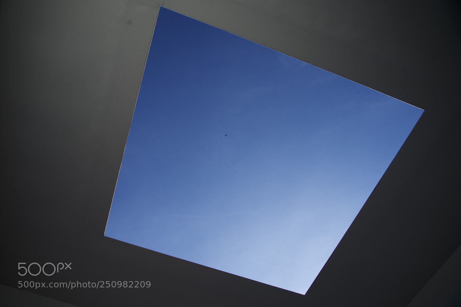 Sony a7R sample photo. Damien hirst, houghton hall photography