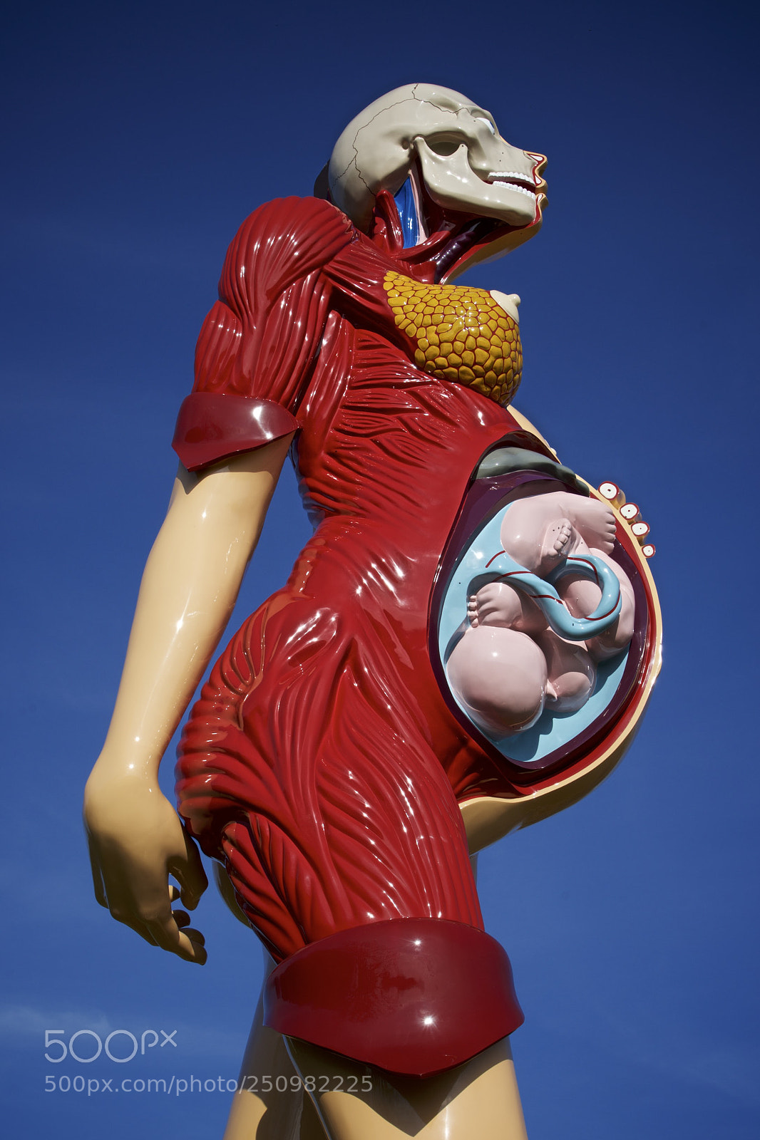 Sony a7R sample photo. Damien hirst, houghton hall photography