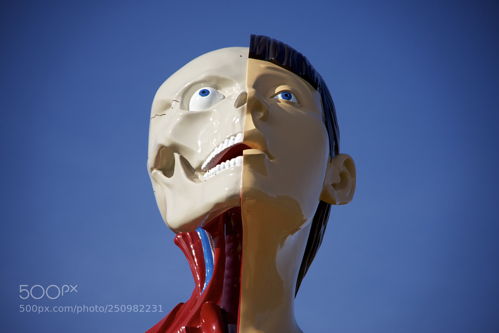 Sony a7R sample photo. Damien hirst, houghton hall photography