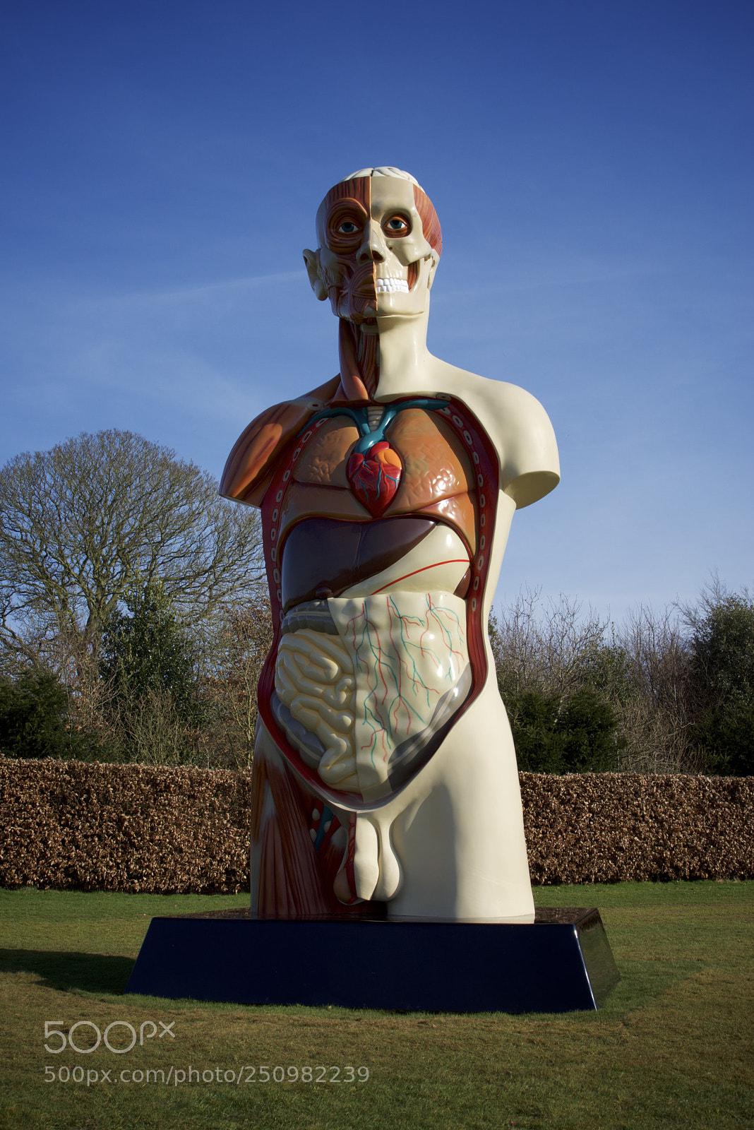 Sony a7R sample photo. Damien hirst, houghton hall photography
