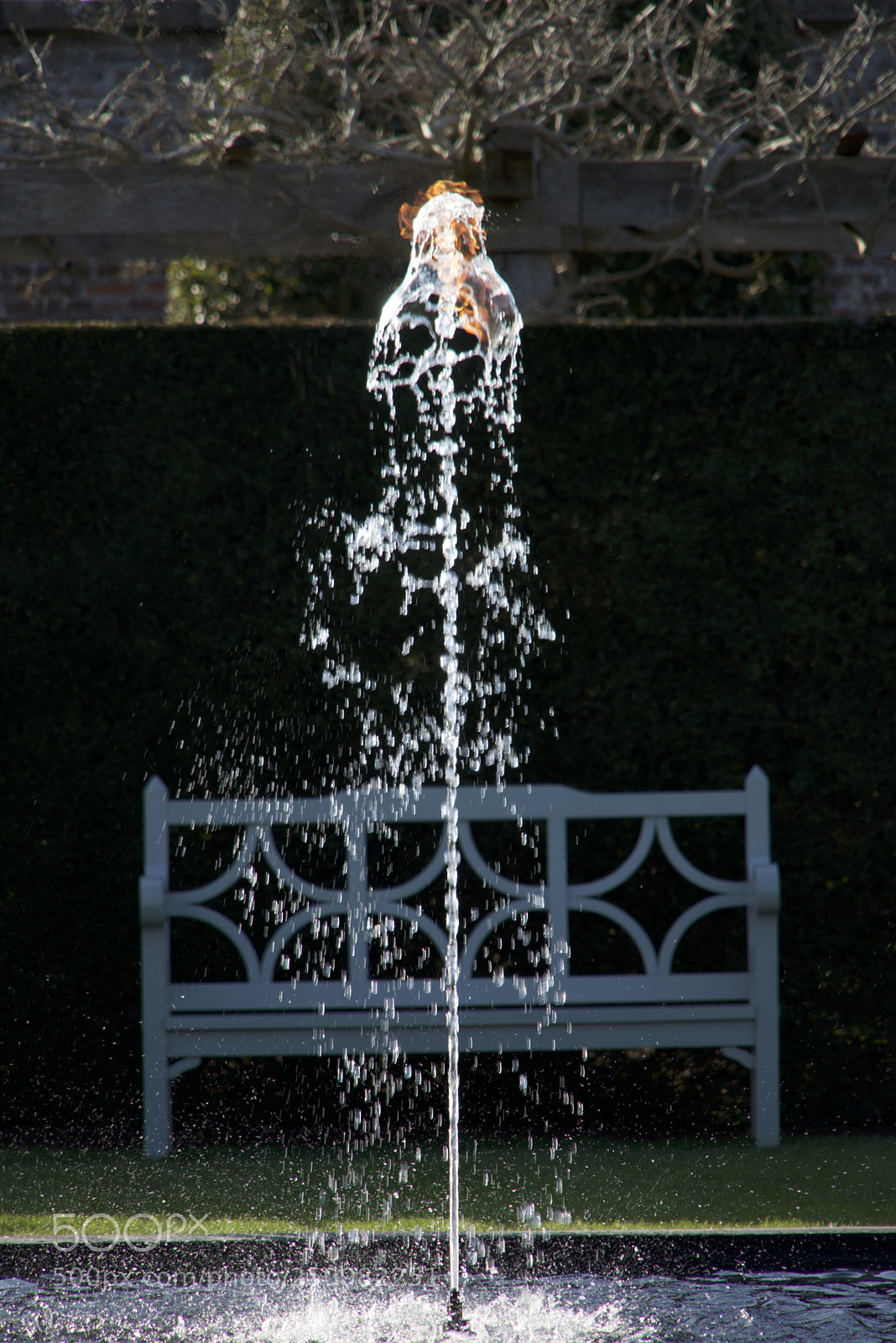 Sony a7R sample photo. Damien hirst, houghton hall photography