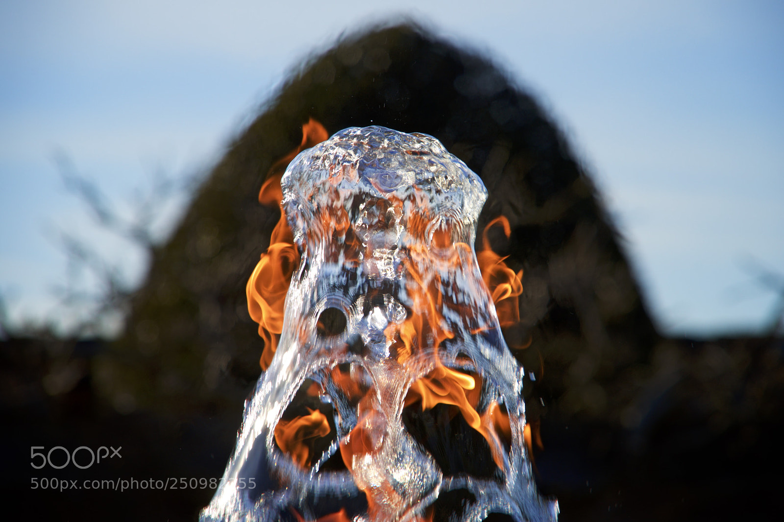 Sony a7R sample photo. Damien hirst, houghton hall photography