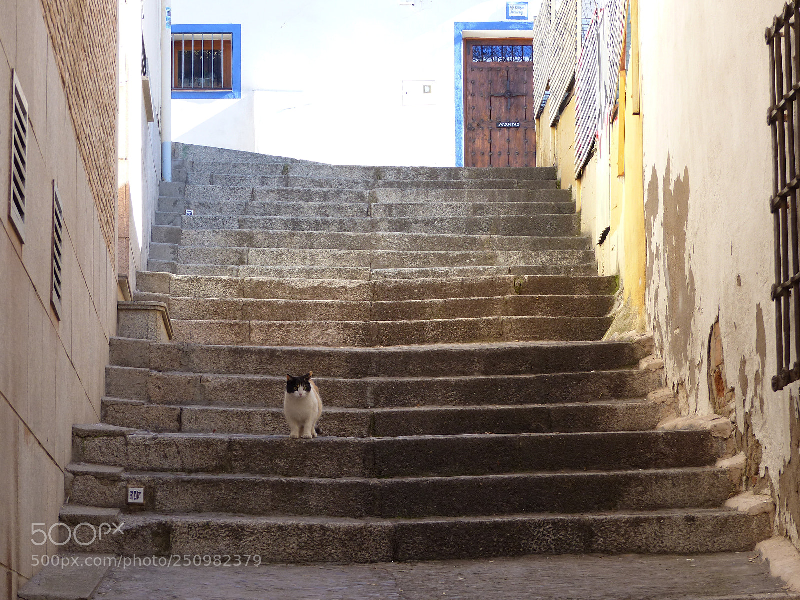 Panasonic Lumix DMC-FZ200 sample photo. Gato en toledo, espa photography