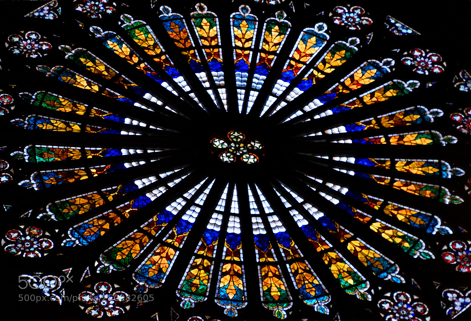 Nikon D3300 sample photo. Notre dame de strasbourg photography