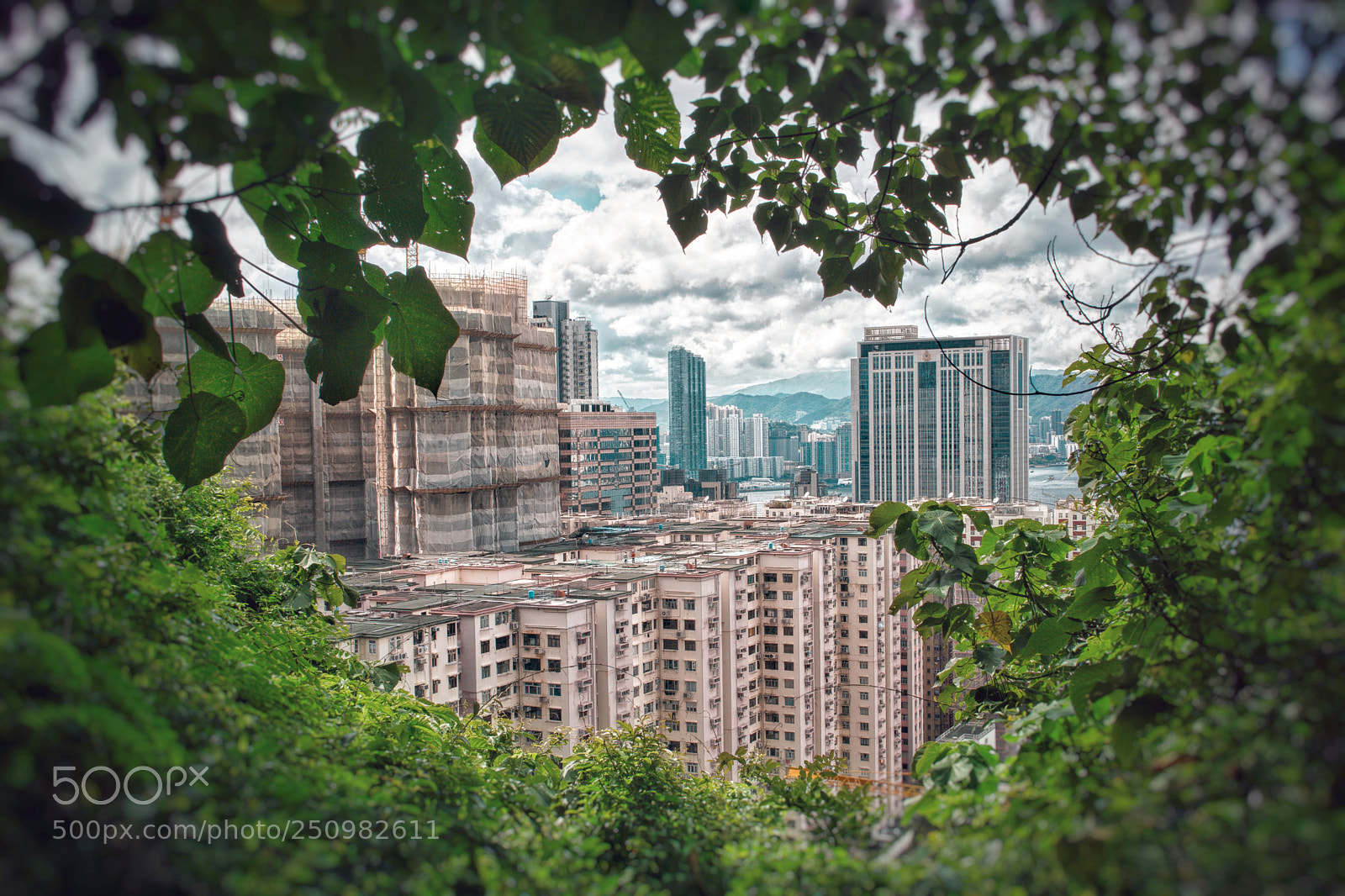 Sony a6000 sample photo. Dsc03161-01.jpg photography