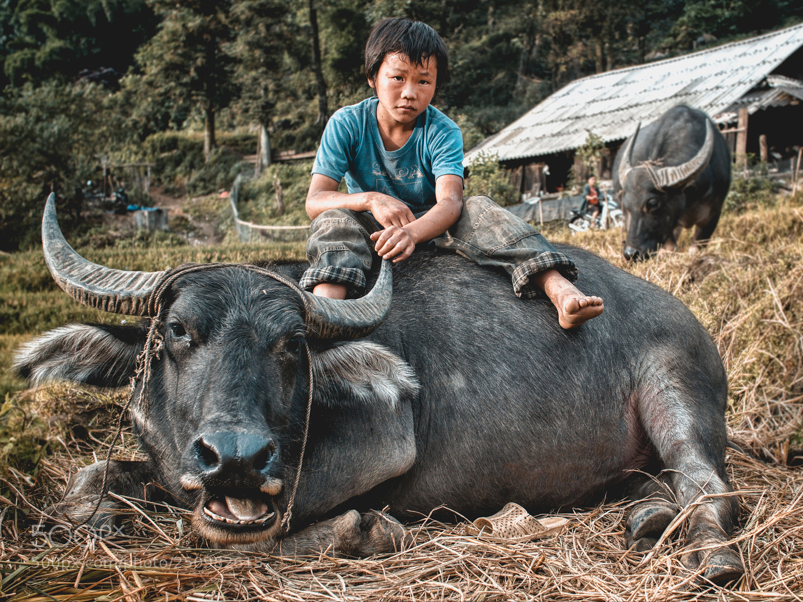 Sony a6000 sample photo. 12.jpg photography