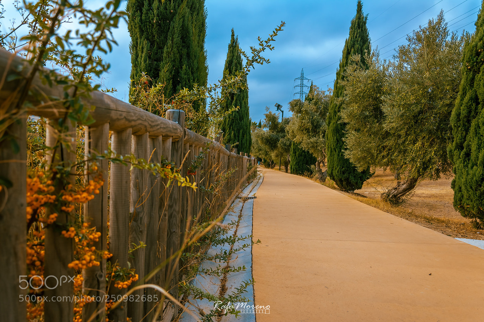 Nikon D7100 sample photo. Path of la laguna photography
