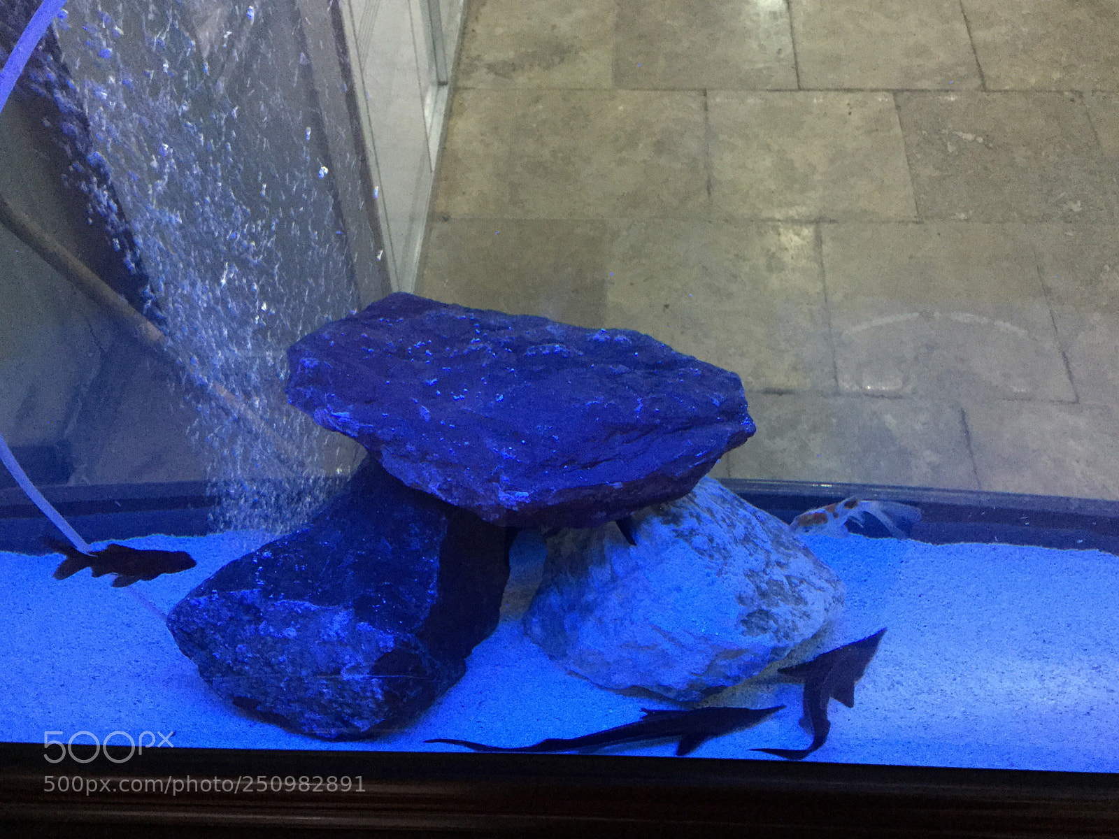 Apple iPad Air 2 sample photo. Untitled photography
