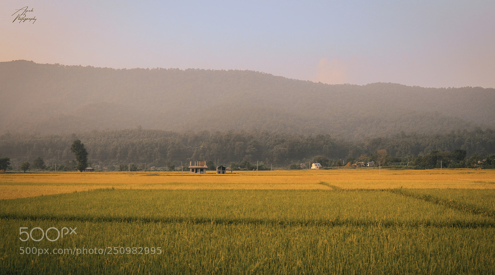 Nikon D5100 sample photo. Nepal ! photography