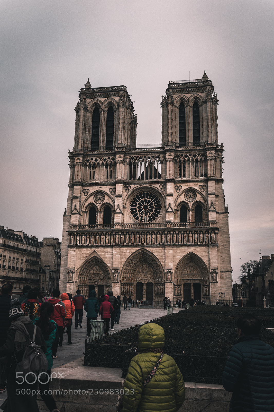 Nikon D5300 sample photo. Notre dame  photography
