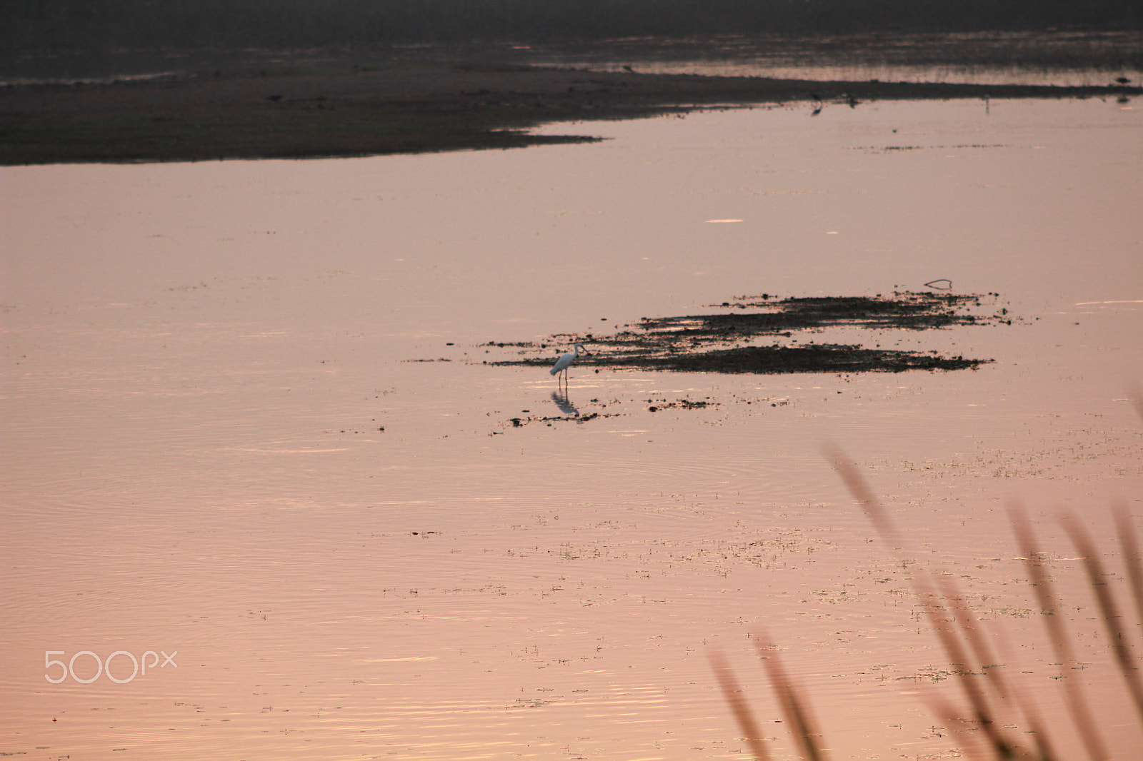 Canon EF 75-300mm f/4-5.6 sample photo. Img photography