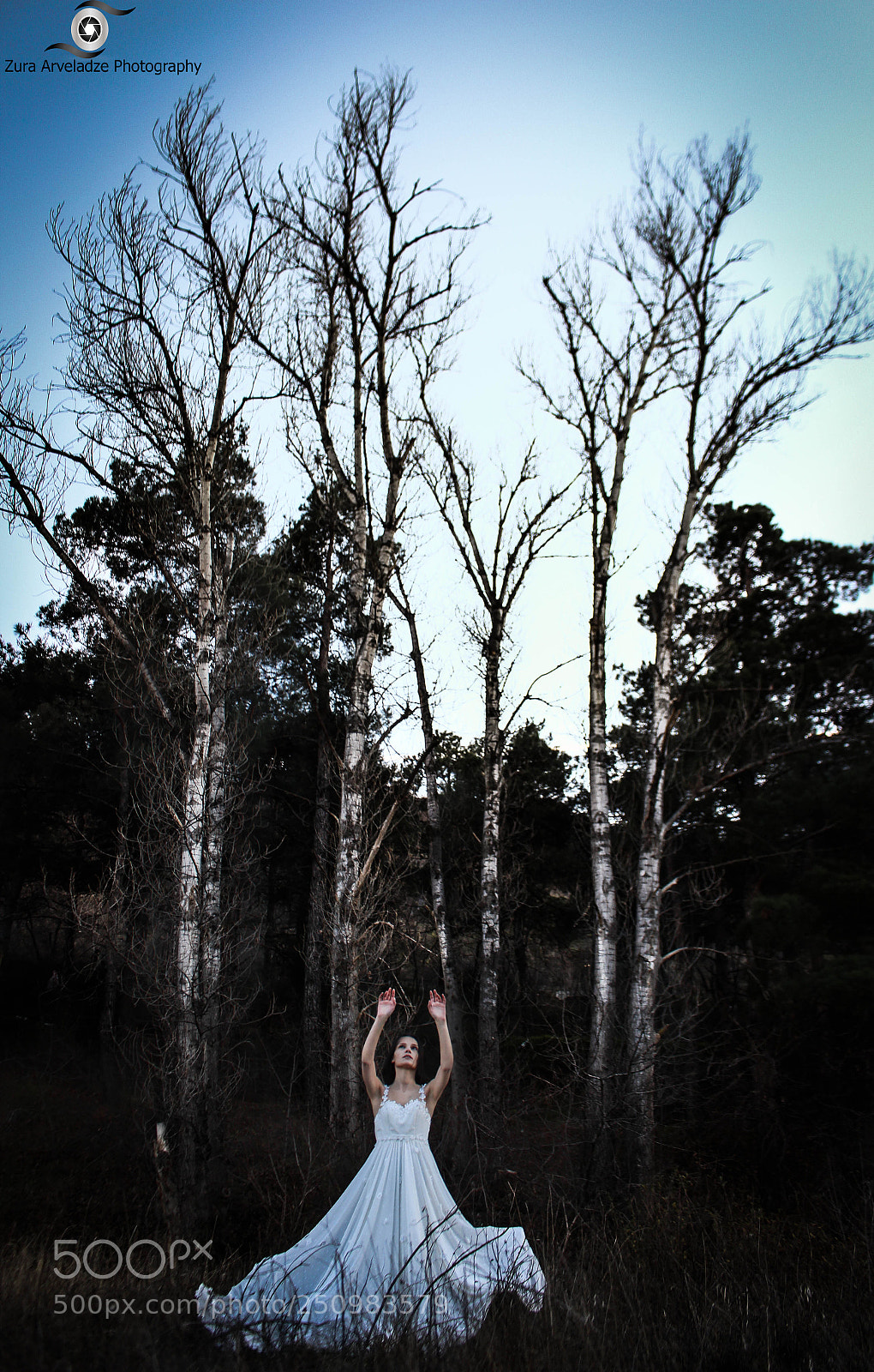 Canon EOS 700D (EOS Rebel T5i / EOS Kiss X7i) sample photo. Medea photography