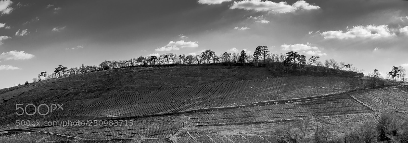 Nikon D610 sample photo. Lyon beaujolais photography