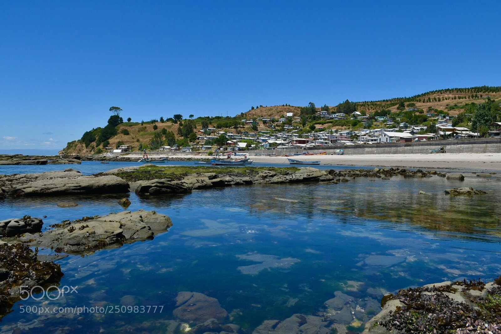 Nikon D5500 sample photo. Caleta puntalavapié, arauco. photography