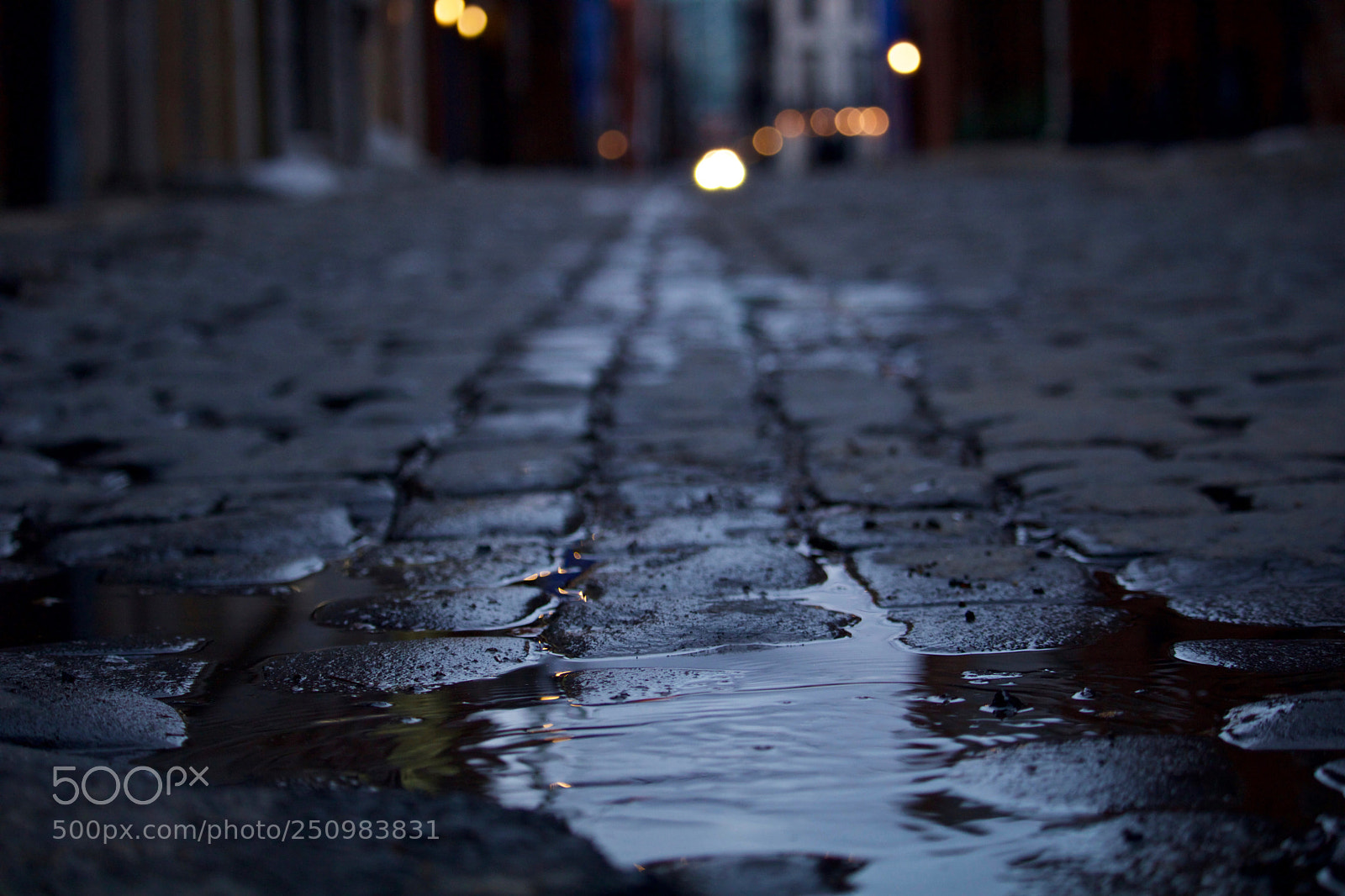 Canon EOS 750D (EOS Rebel T6i / EOS Kiss X8i) sample photo. Puddle photography