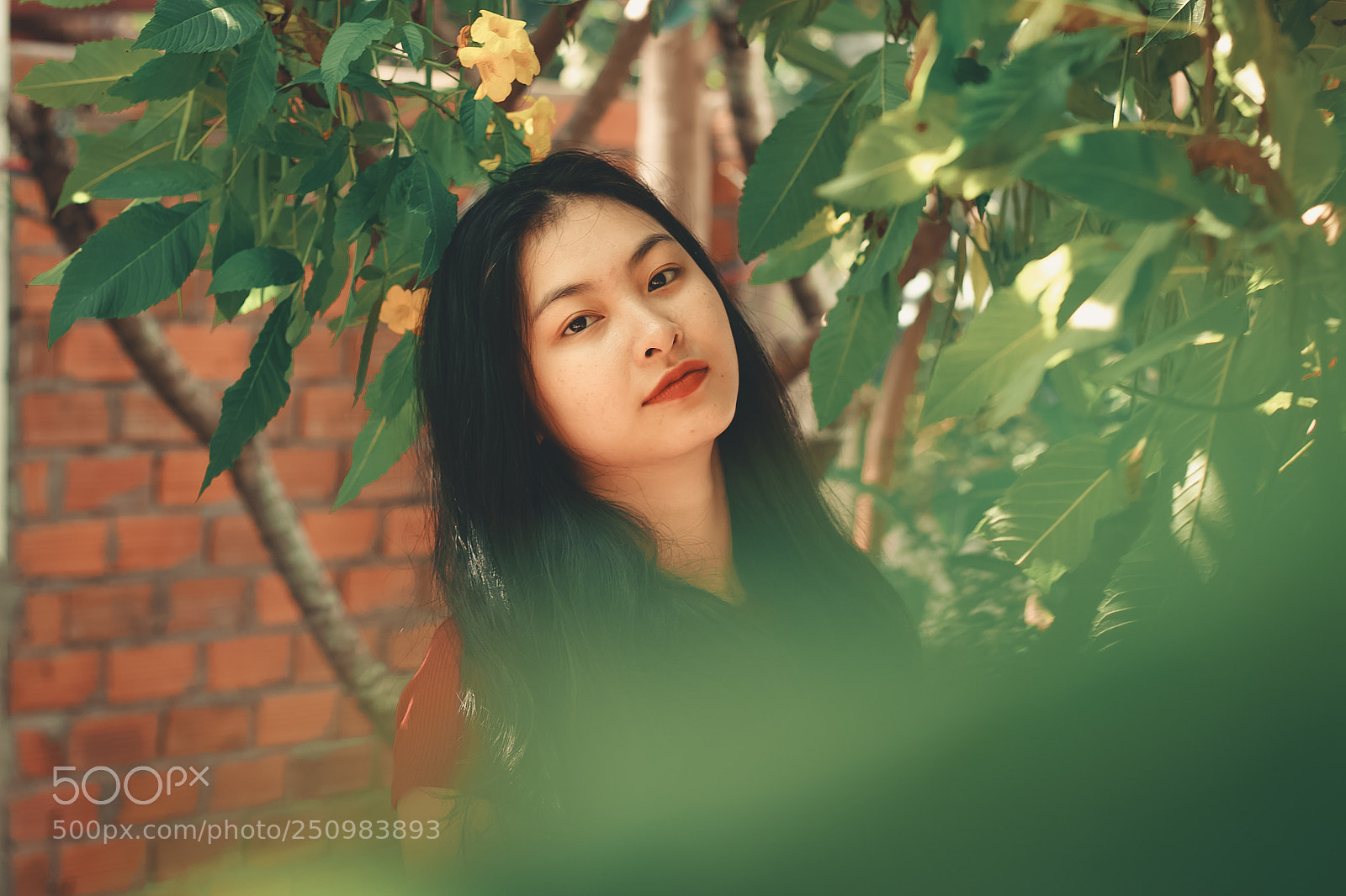Canon EOS 70D sample photo. Img photography