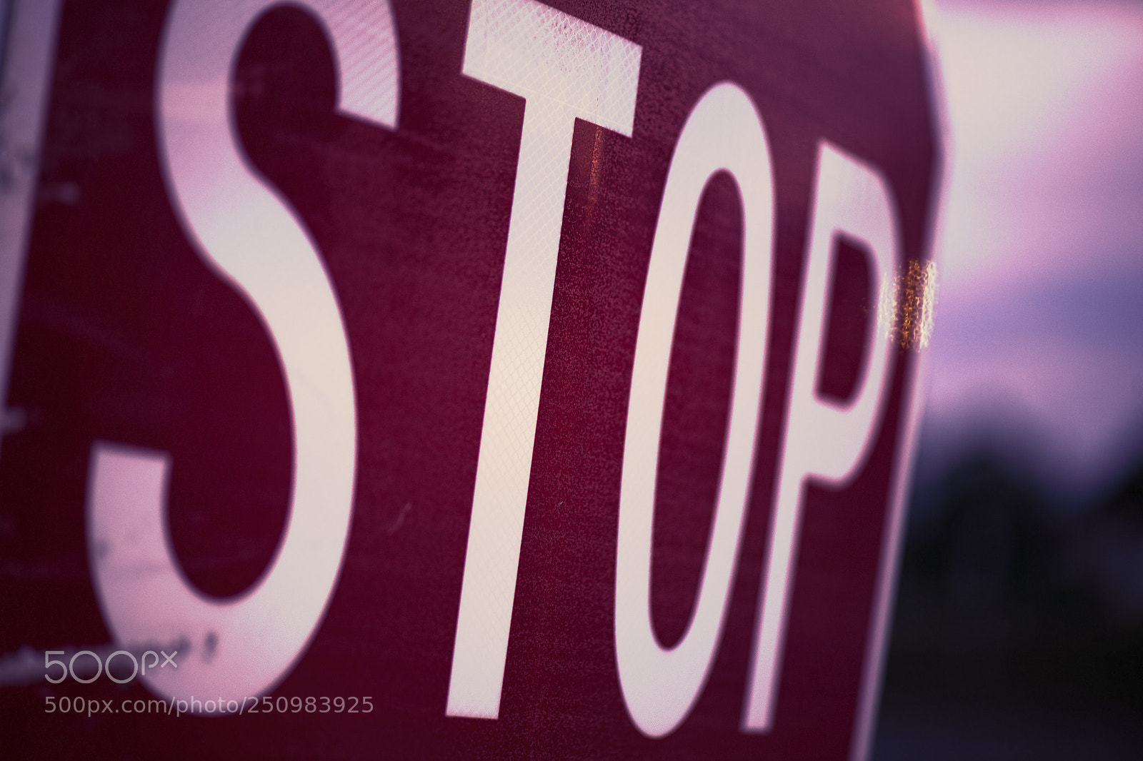 Nikon D800 sample photo. Road stop sign. photography